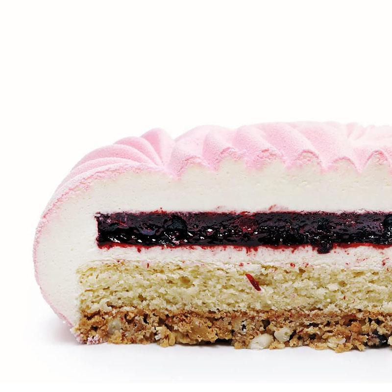 Round Mousse Cake Pan For Baki - Zyliss Kitchen Gadgets ulasan dan harga